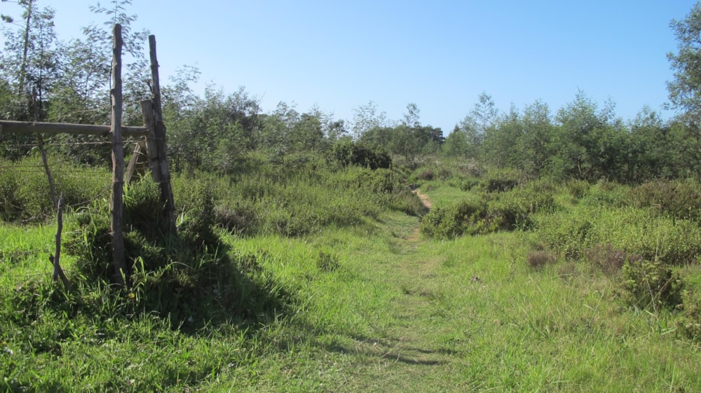 Residential vacant land for sale in Humansdorp - 1JF1480916 Residential vacant land for sale in Humansdorp - 1JF1480916