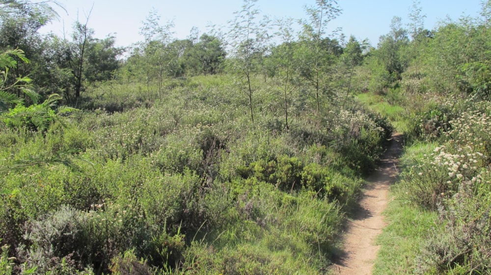 Residential vacant land for sale in Humansdorp - 1JF1480916 Residential vacant land for sale in Humansdorp - 1JF1480916