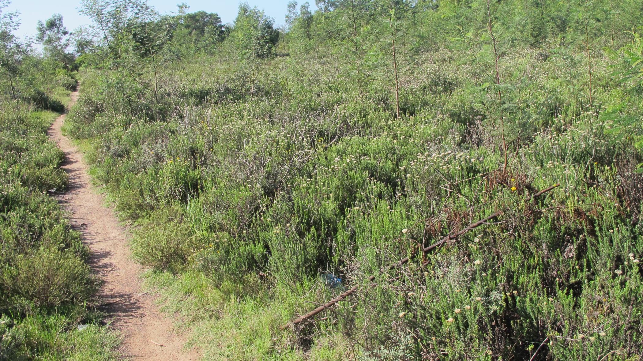 Residential vacant land for sale in Humansdorp - 1JF1480916