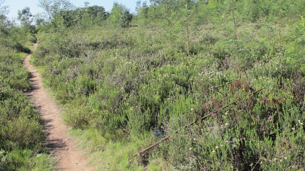 Residential vacant land for sale in Humansdorp - 1JF1480916 Residential vacant land for sale in Humansdorp - 1JF1480916