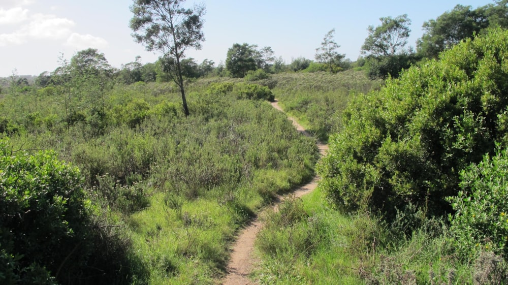 Residential vacant land for sale in Humansdorp - 1JF1480916 Residential vacant land for sale in Humansdorp - 1JF1480916