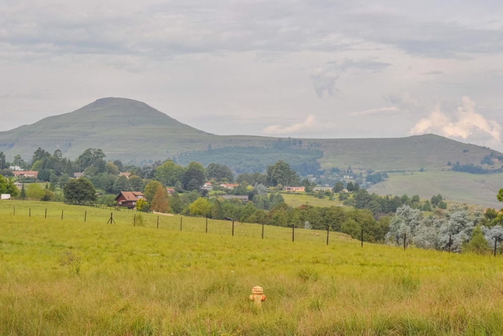 Residential vacant land for sale in Underberg - 1UB1480313