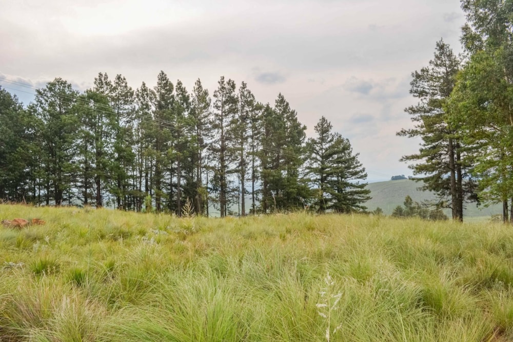 Residential vacant land for sale in Underberg - 1UB1480313