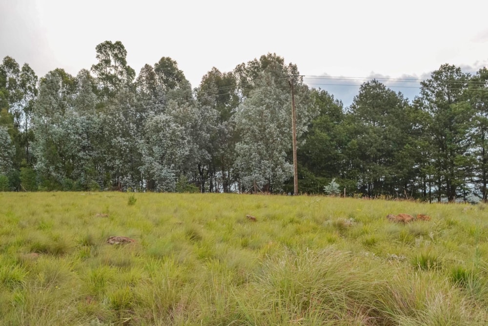 Residential vacant land for sale in Underberg - 1UB1480313