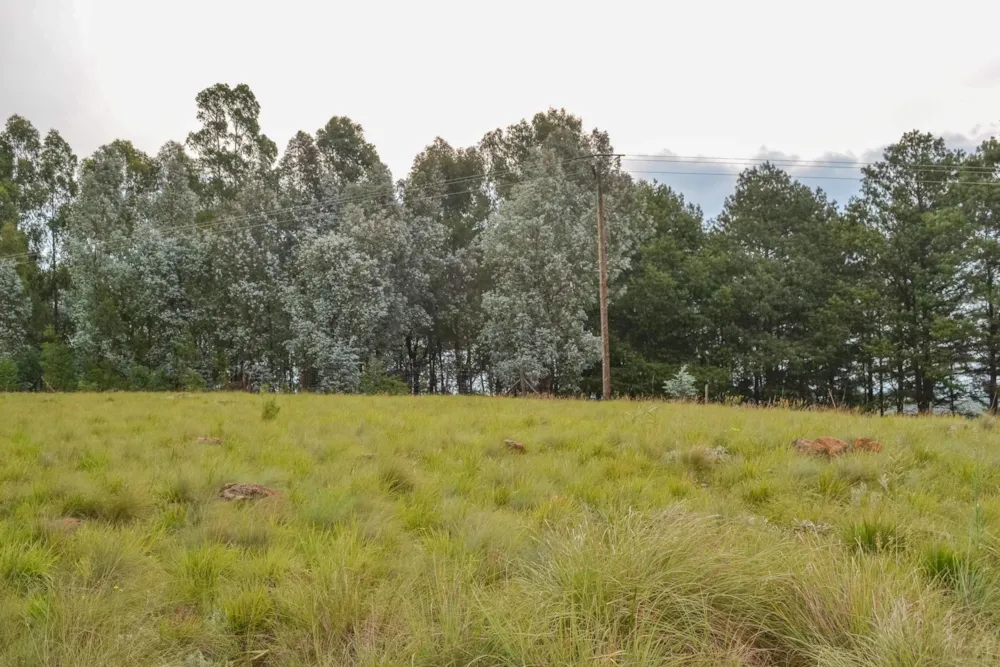 Residential vacant land for sale in Underberg - 1UB1480313 Residential vacant land for sale in Underberg - 1UB1480313