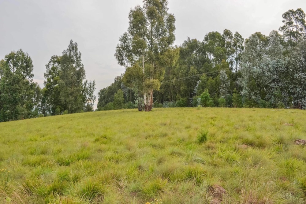 Residential vacant land for sale in Underberg - 1UB1480313