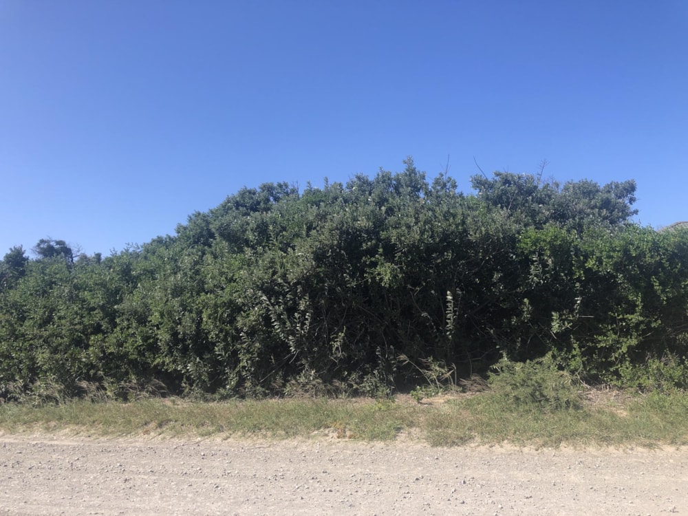 Vacant land for sale in Cannon Rocks - 1KO1749128 Vacant land for sale in Cannon Rocks - 1KO1749128