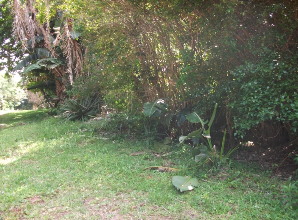 Vacant land for sale in Trafalgar - 1PD1228724