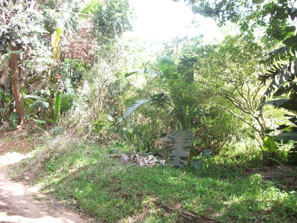 Vacant land for sale in Trafalgar - 1PD1228724 Vacant land for sale in Trafalgar - 1PD1228724