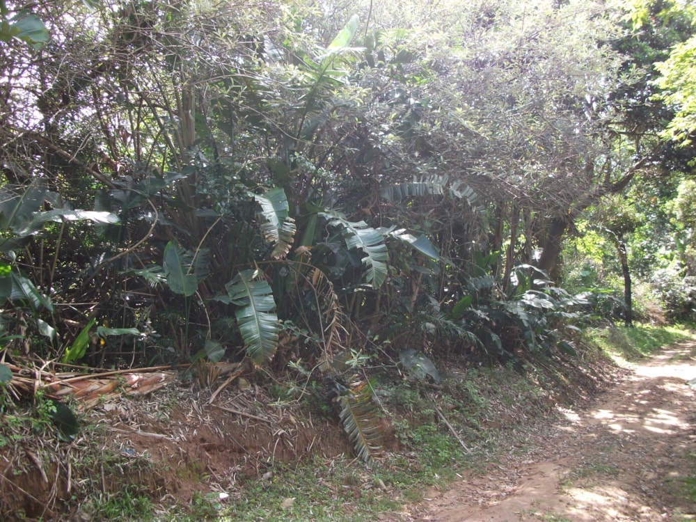 Vacant land for sale in Trafalgar - 1PD1228724