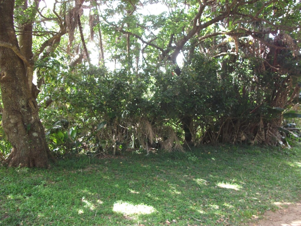 Vacant land for sale in Trafalgar - 1PD1228724 Vacant land for sale in Trafalgar - 1PD1228724