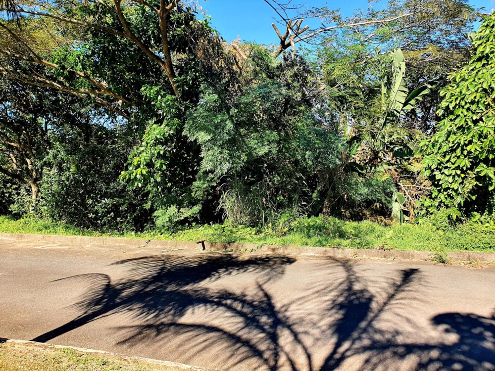 Residential vacant land for sale in Ramsgate - 1PD1442431 Residential vacant land for sale in Ramsgate - 1PD1442431