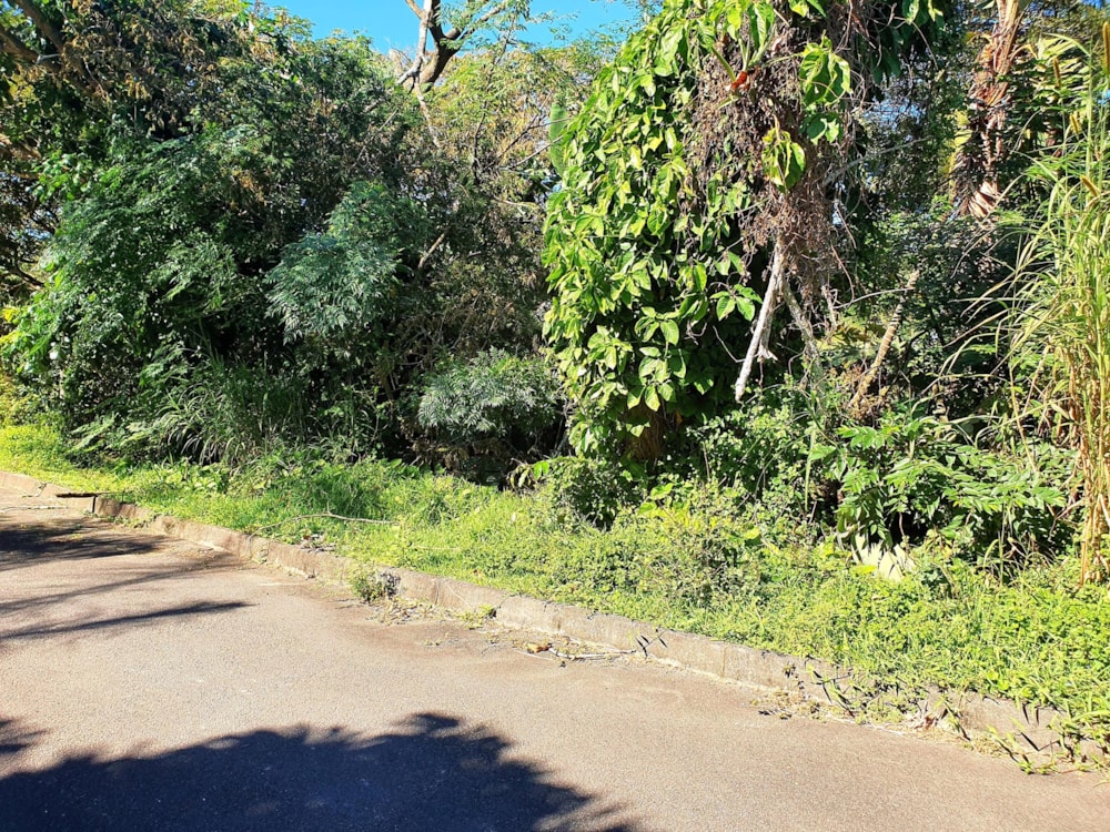 Residential vacant land for sale in Ramsgate - 1PD1442431 Residential vacant land for sale in Ramsgate - 1PD1442431