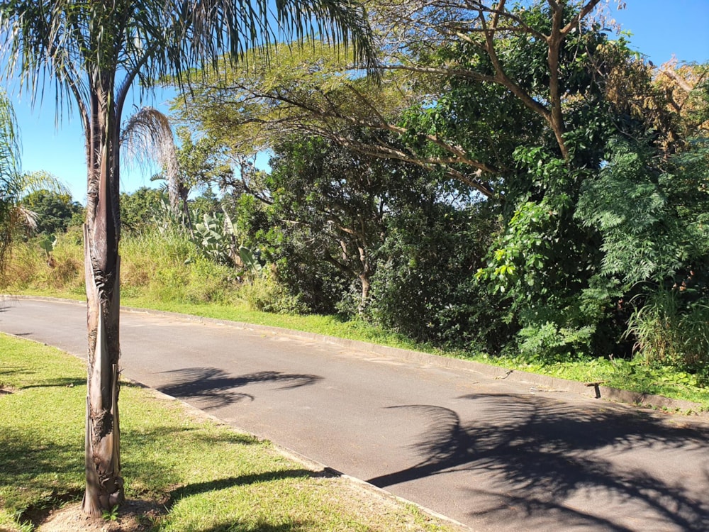 Residential vacant land for sale in Ramsgate - 1PD1442431 Residential vacant land for sale in Ramsgate - 1PD1442431