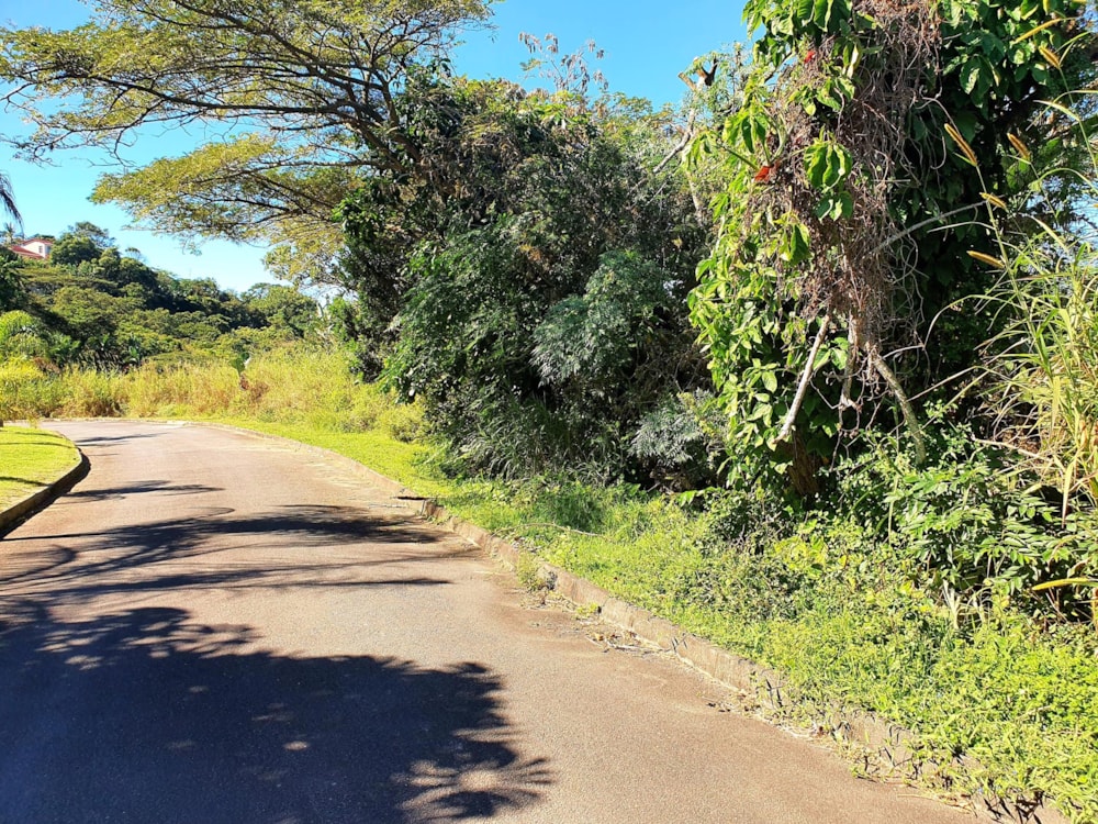 Residential vacant land for sale in Ramsgate - 1PD1442431 Residential vacant land for sale in Ramsgate - 1PD1442431