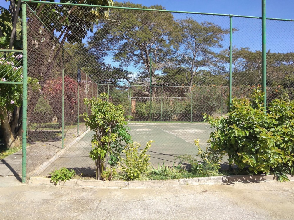 Townhouse to rent in Sunningdale, Zambia - 3ZA1482620 Townhouse to rent in Sunningdale, Zambia - 3ZA1482620