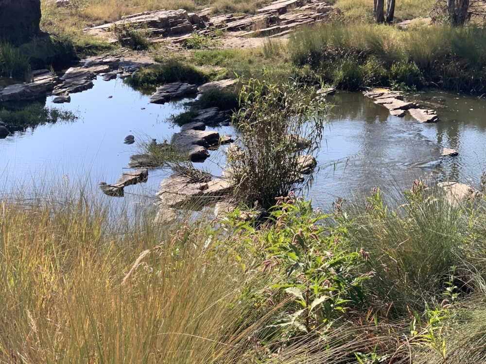 Vacant land for sale in Bronkhorstbaai - PRN1483423