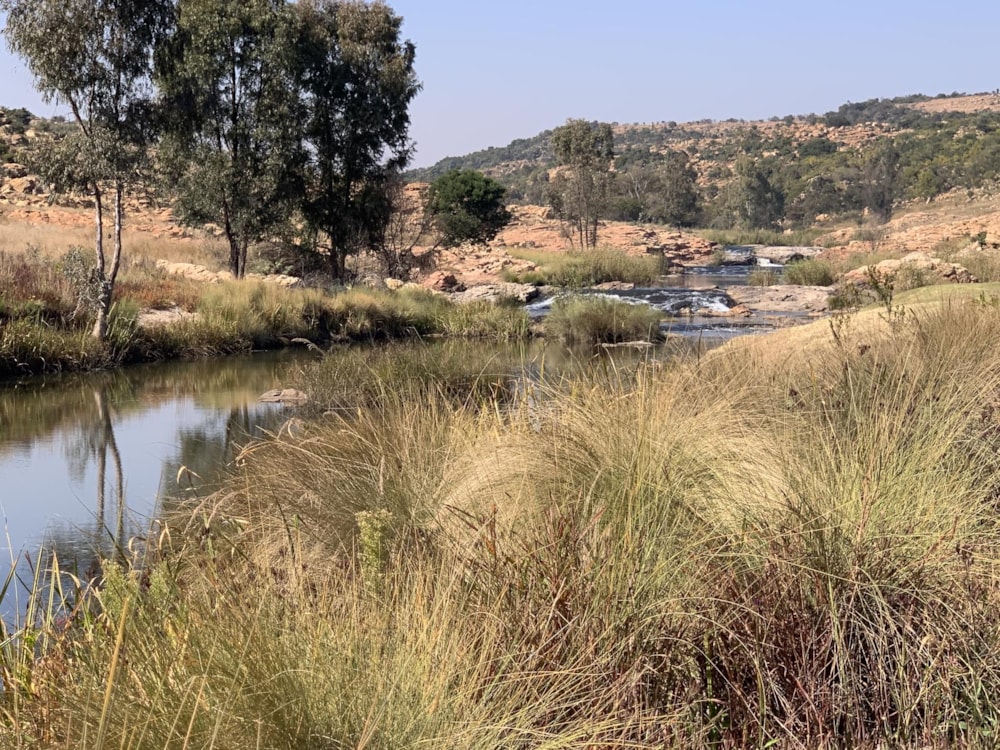 Vacant land for sale in Bronkhorstbaai - PRN1483423