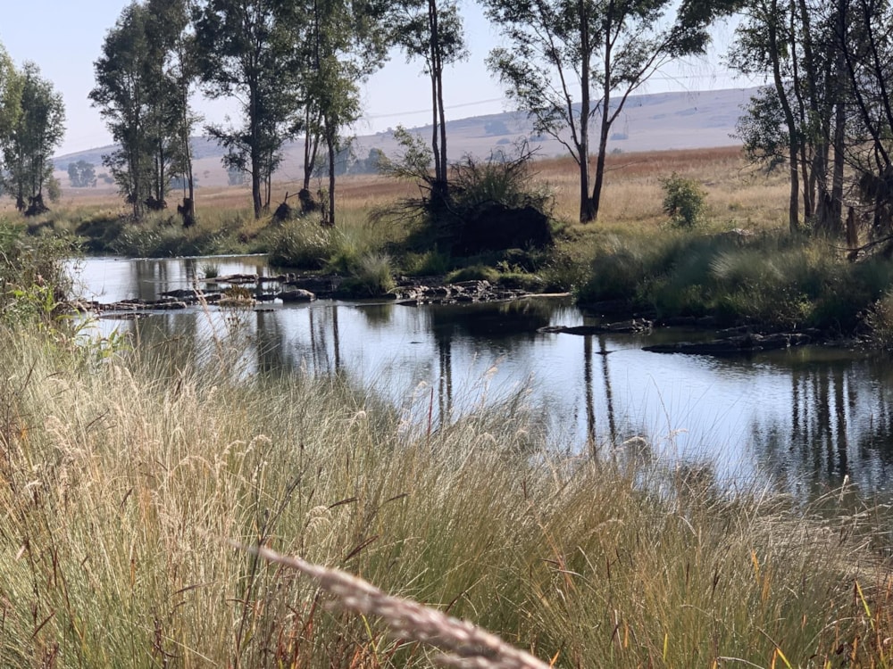 Vacant land for sale in Bronkhorstbaai - PRN1483423