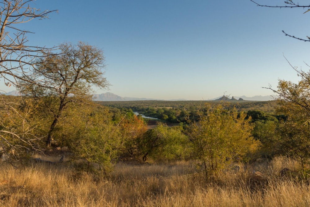Residential vacant land sold in Elephant Rock Eco Estate - 1HS1664759 Residential vacant land sold in Elephant Rock Eco Estate - 1HS1664759