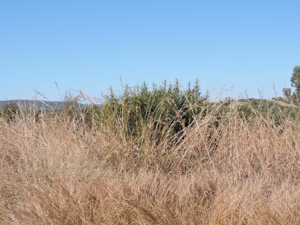 Farm vacant land for sale in Swartruggens - 1RU1485250 Farm vacant land for sale in Swartruggens - 1RU1485250