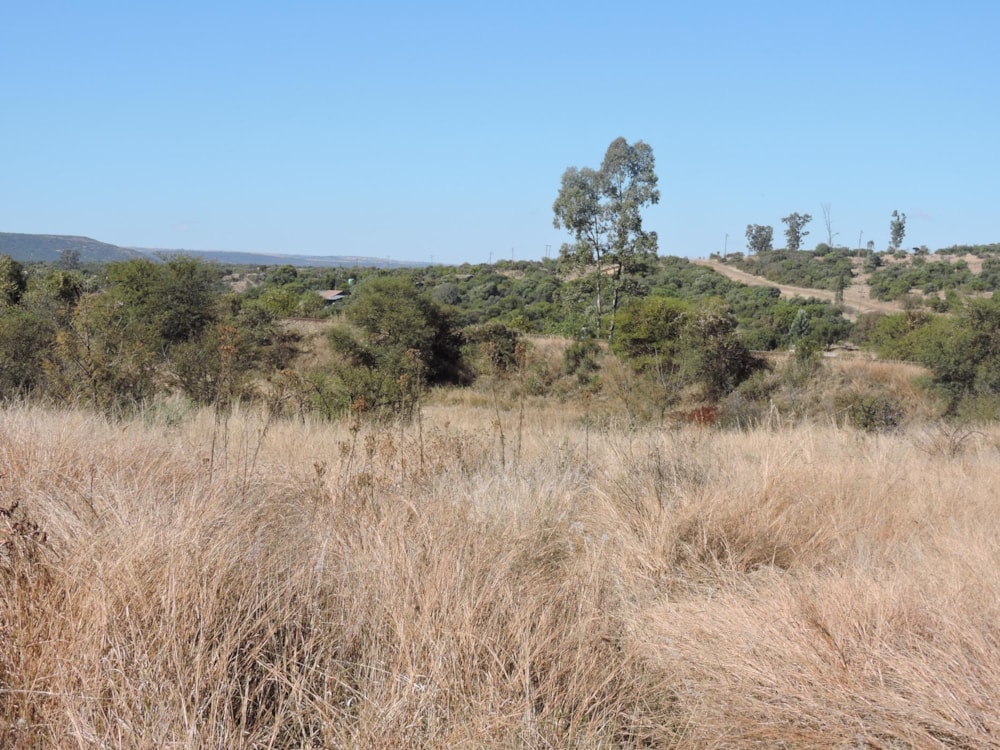 Farm vacant land for sale in Swartruggens - 1RU1485250 Farm vacant land for sale in Swartruggens - 1RU1485250