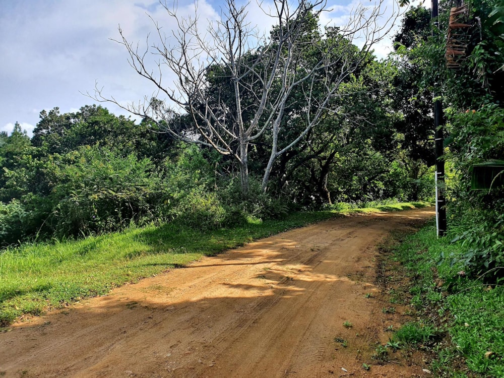 Residential vacant land for sale in Ramsgate - 1PD1485638 Residential vacant land for sale in Ramsgate - 1PD1485638