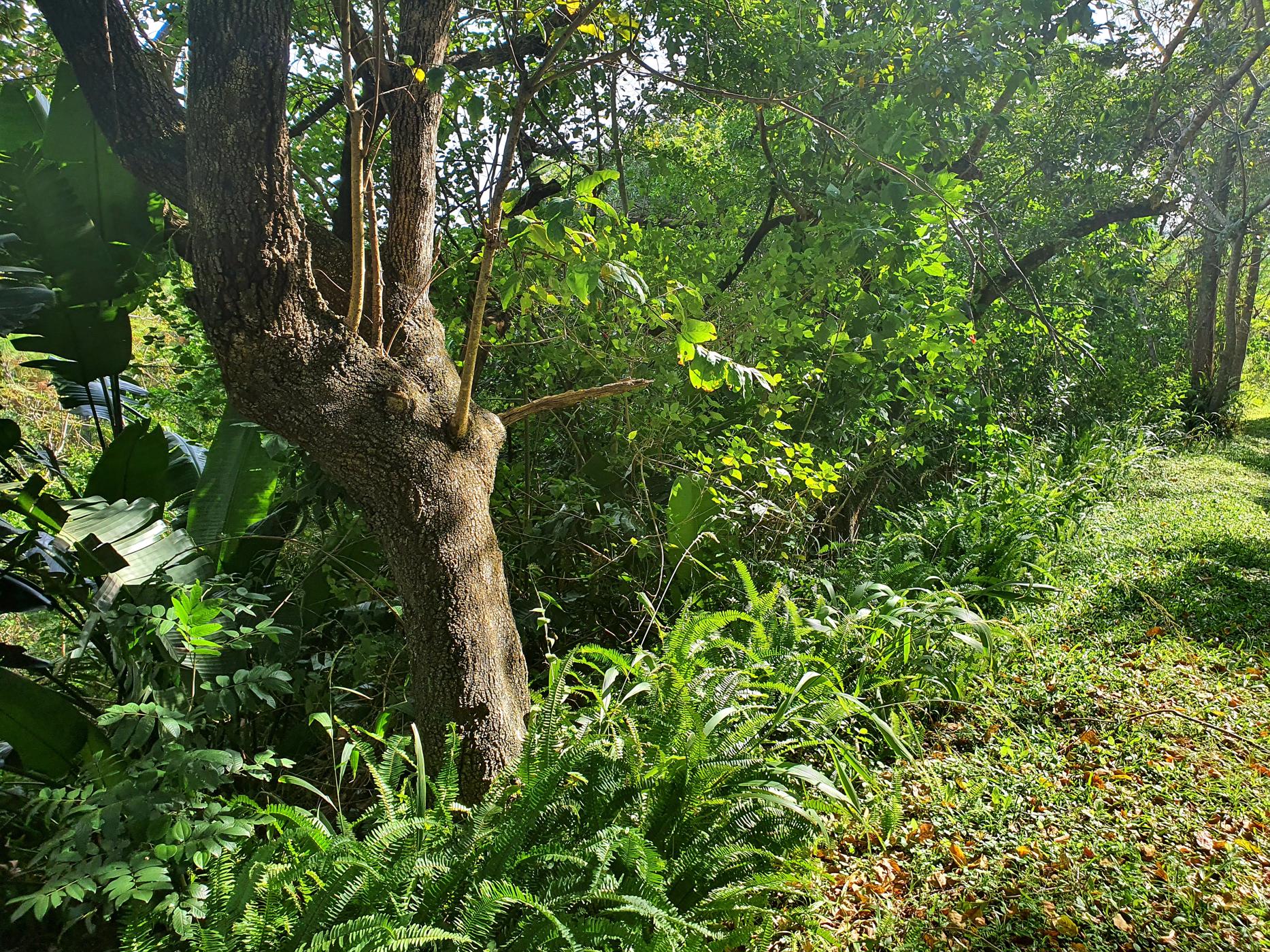 Residential vacant land for sale in Ramsgate - 1PD1485638