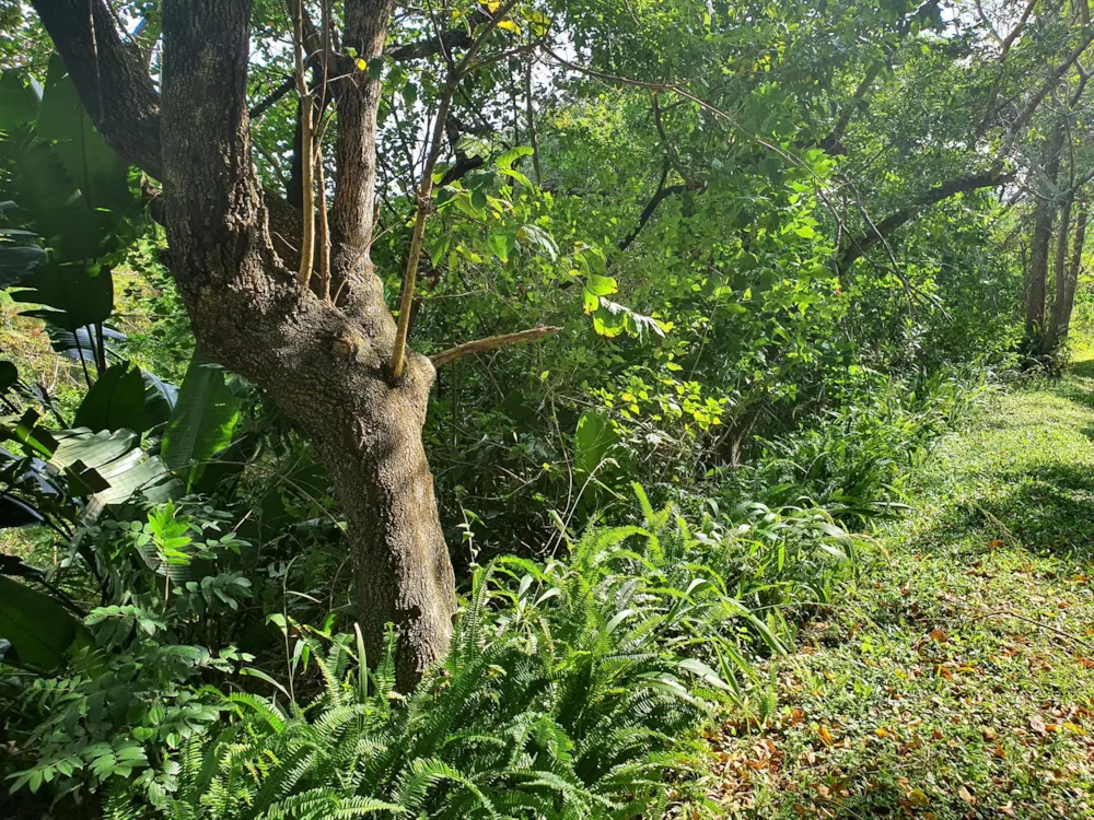 Residential vacant land for sale in Ramsgate - 1PD1485638