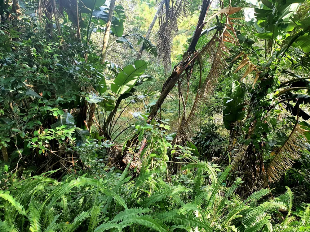 Residential vacant land for sale in Ramsgate - 1PD1485638