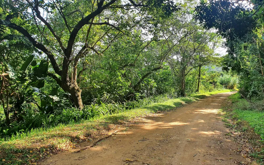 Residential vacant land for sale in Ramsgate - 1PD1485638