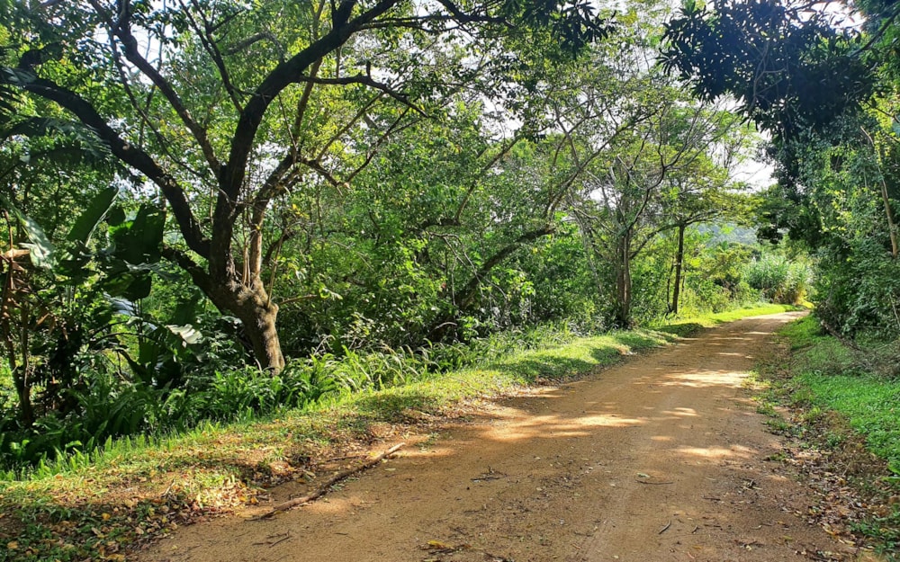 Residential vacant land for sale in Ramsgate - 1PD1485638