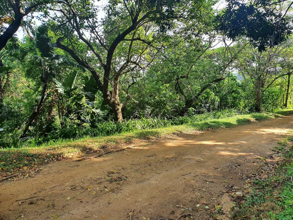 Residential vacant land for sale in Ramsgate - 1PD1485638 Residential vacant land for sale in Ramsgate - 1PD1485638