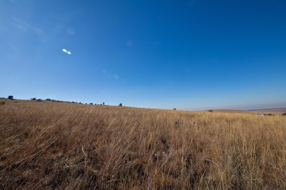 Farm vacant land for sale in Kalkheuvel - 1HR1485772 Farm vacant land for sale in Kalkheuvel - 1HR1485772