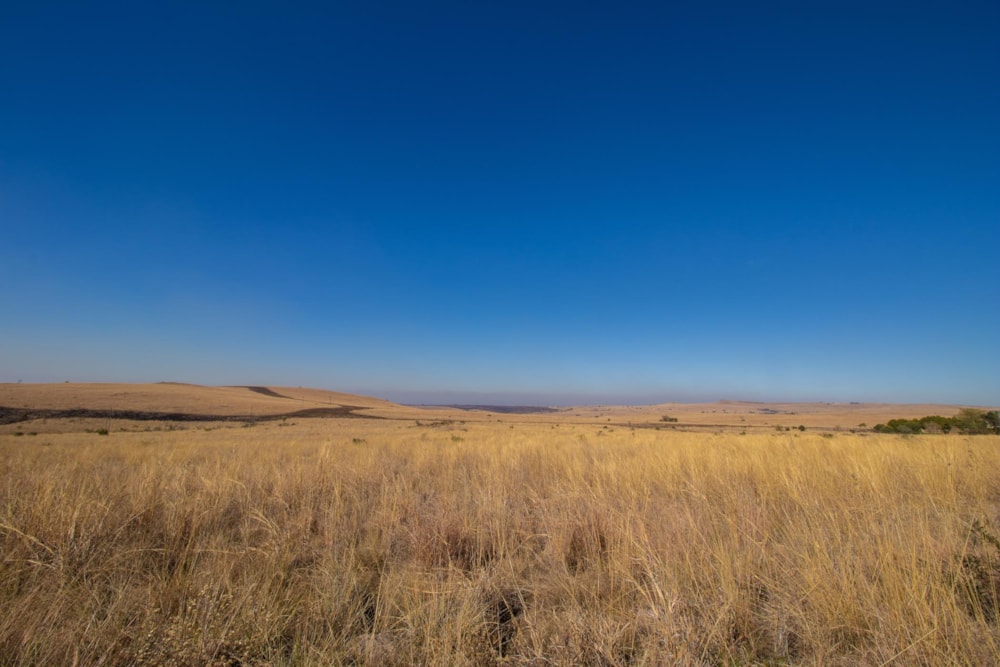 Farm vacant land for sale in Kalkheuvel - 1HR1485818 Farm vacant land for sale in Kalkheuvel - 1HR1485818