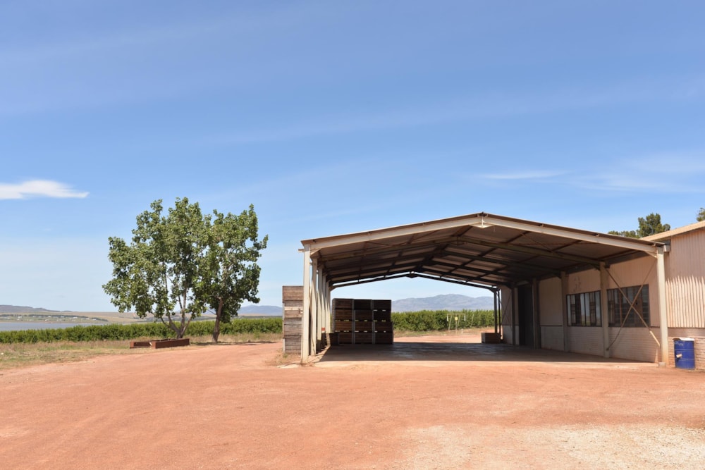 Fruit farm for sale in Villiersdorp - 1SW1487302 Fruit farm for sale in Villiersdorp - 1SW1487302