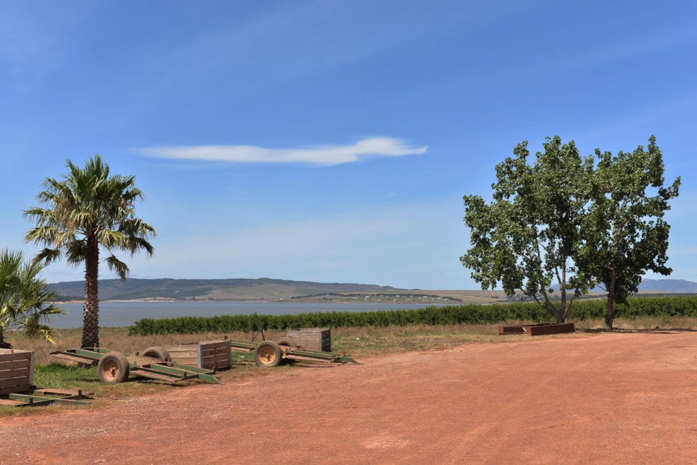 Fruit farm for sale in Villiersdorp - 1SW1487302 Fruit farm for sale in Villiersdorp - 1SW1487302