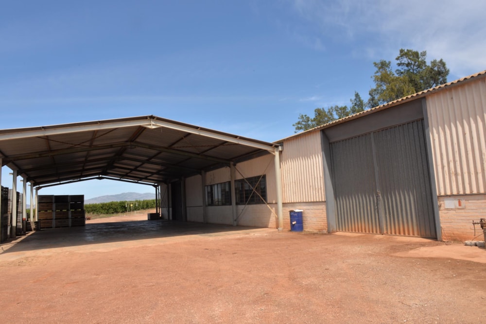 Fruit farm for sale in Villiersdorp - 1SW1487302 Fruit farm for sale in Villiersdorp - 1SW1487302