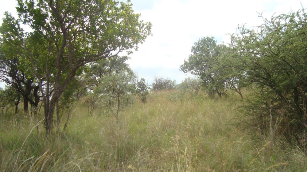 Vacant land for sale in La Camargue - 1HR1595701 Vacant land for sale in La Camargue - 1HR1595701