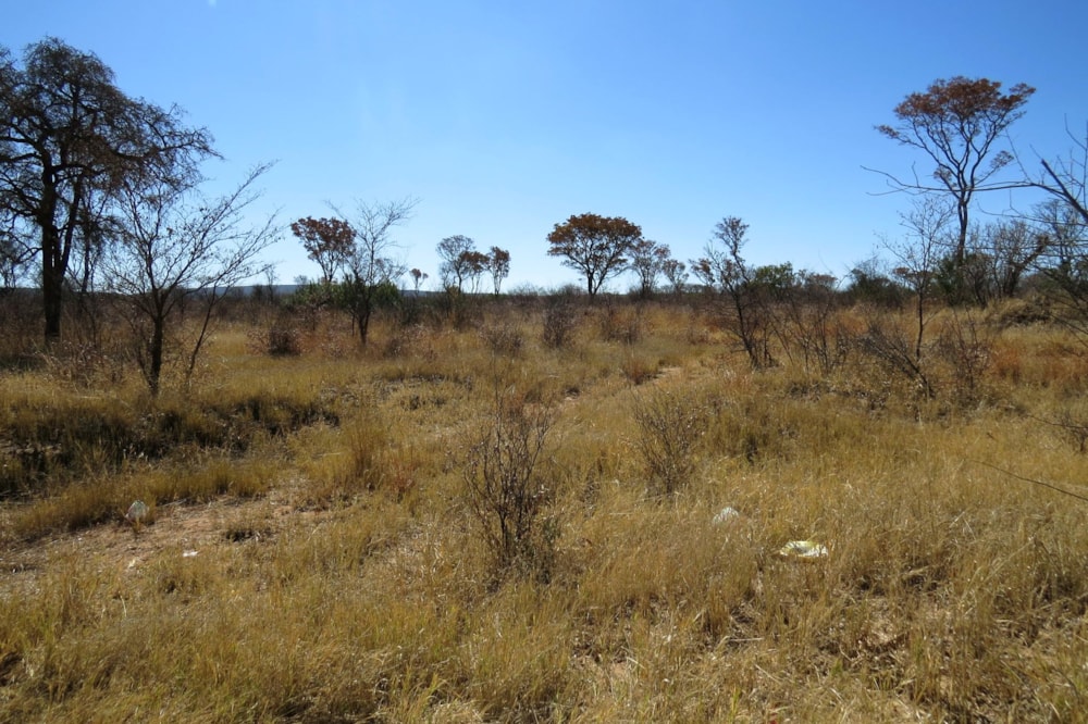 Commercial vacant land for sale in Modimolle (Nylstroom) - 1MM1493334 Commercial vacant land for sale in Modimolle (Nylstroom) - 1MM1493334