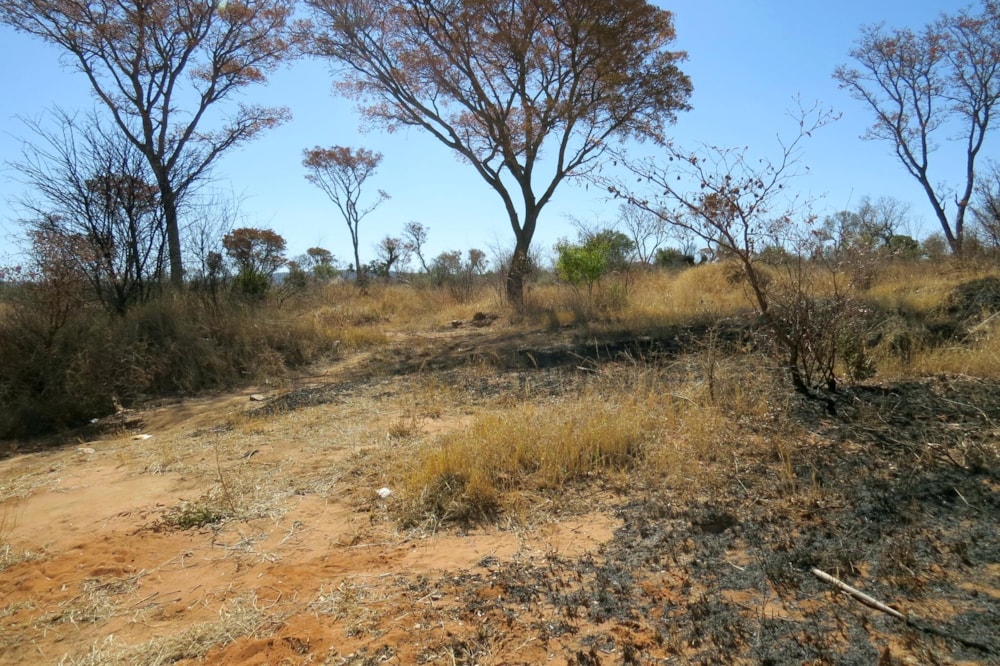 Commercial vacant land for sale in Modimolle (Nylstroom) - 1MM1493334 Commercial vacant land for sale in Modimolle (Nylstroom) - 1MM1493334