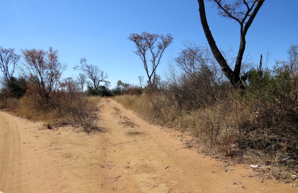 Commercial vacant land for sale in Modimolle (Nylstroom) - 1MM1493334 Commercial vacant land for sale in Modimolle (Nylstroom) - 1MM1493334