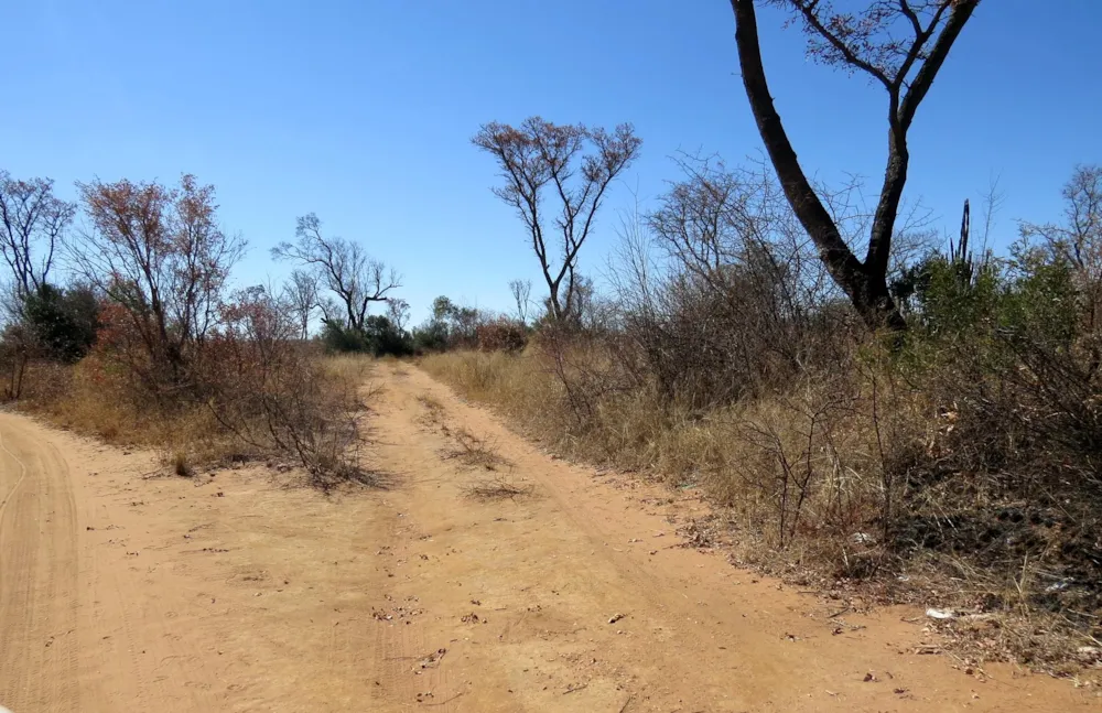 Commercial vacant land for sale in Modimolle (Nylstroom) - 1MM1493334 Commercial vacant land for sale in Modimolle (Nylstroom) - 1MM1493334