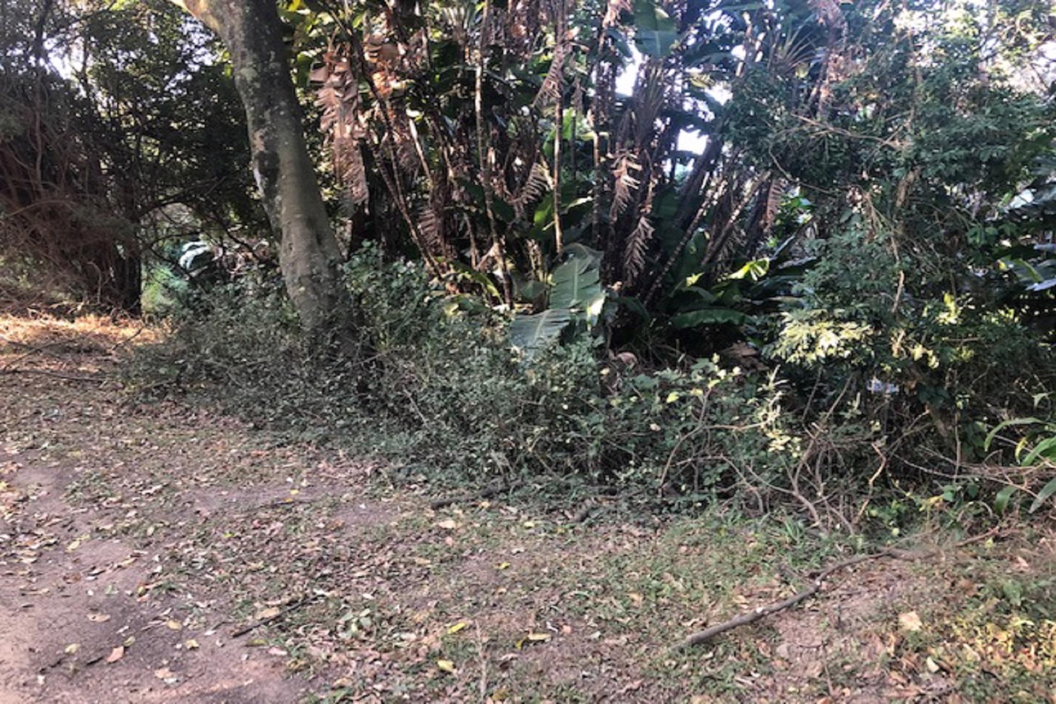 Residential vacant land for sale in Leisure Bay - 1PD1460351