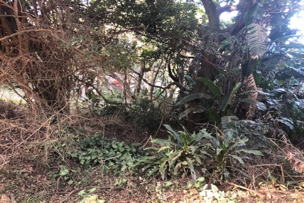 Residential vacant land for sale in Leisure Bay - 1PD1460351
