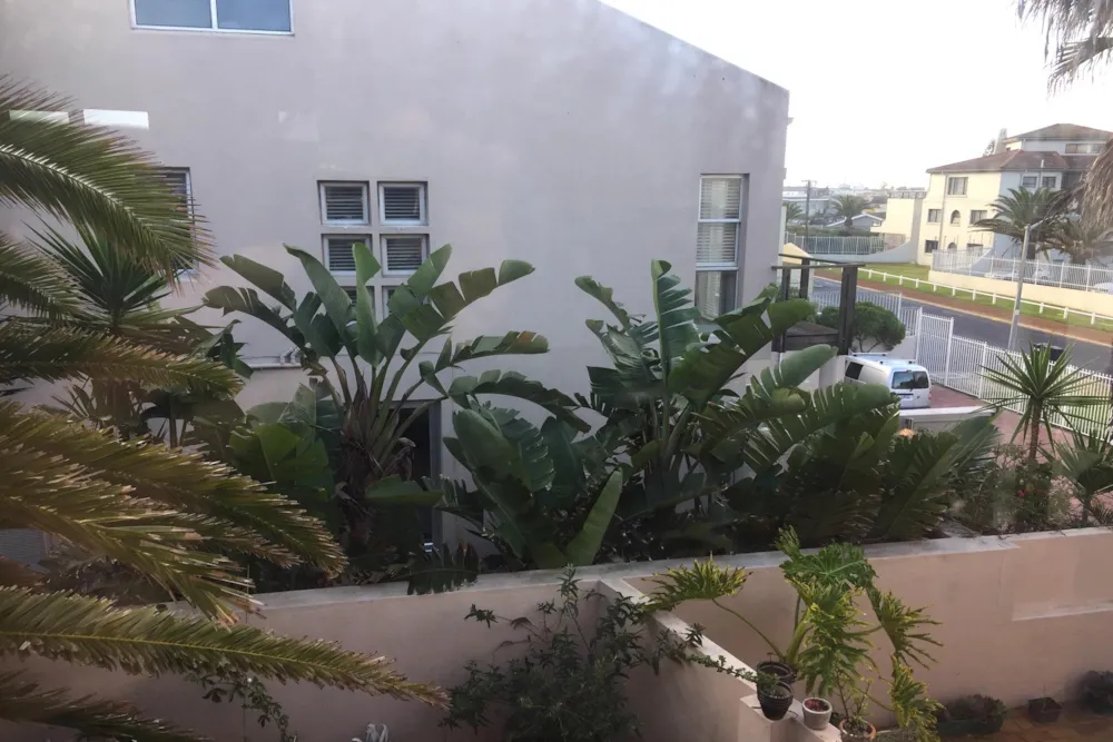 Apartment let in Waves Edge - 1TV1721390