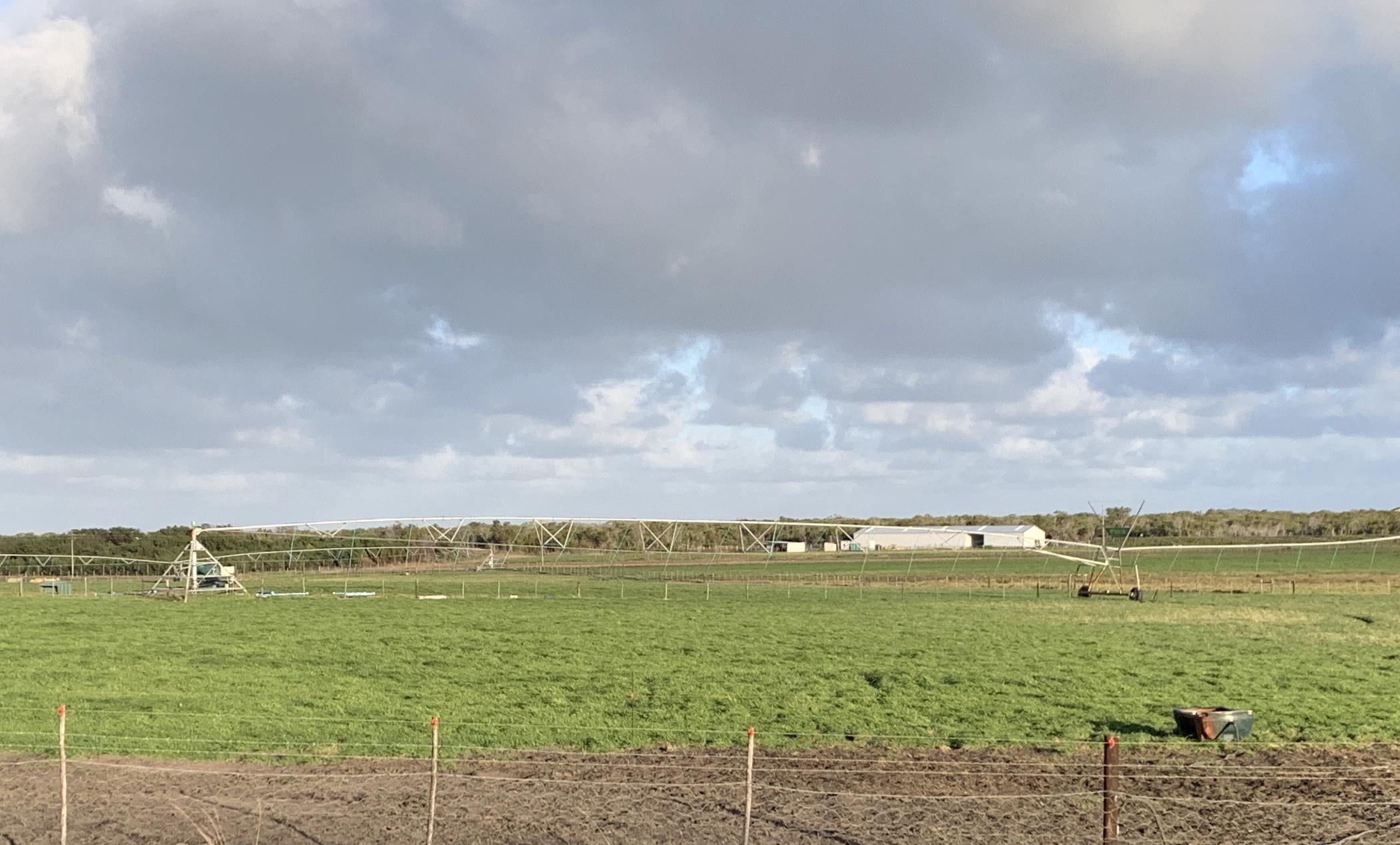 Smallholding for sale in St Francis Bay Rural - 1SA1490352