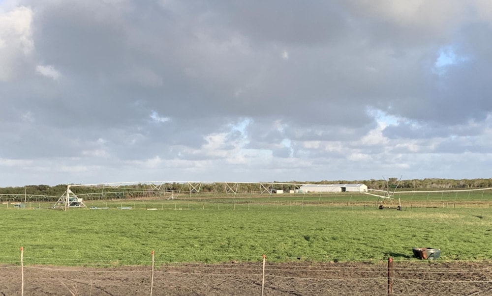 Smallholding for sale in St Francis Bay Rural - 1SA1490352 Smallholding for sale in St Francis Bay Rural - 1SA1490352