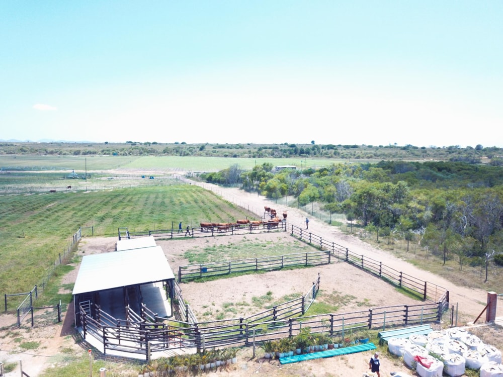 Smallholding for sale in St Francis Bay Rural - 1SA1490352 Smallholding for sale in St Francis Bay Rural - 1SA1490352