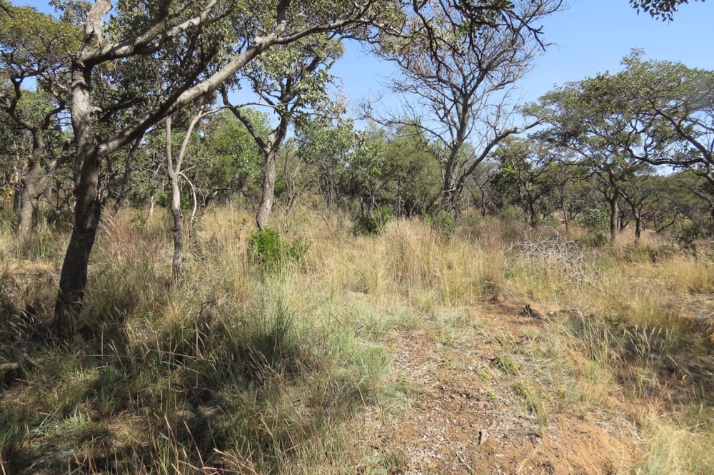 Vacant land for sale in Modimolle Rural - 1MM1490822